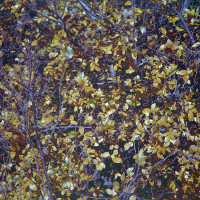 20151220 1224 Lunchbreak Random ©JamesECockroft 2362