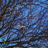 20151220 1226 Lunchbreak Random ©JamesECockroft 2368