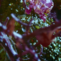 20151220 1228 Lunchbreak Random ©JamesECockroft 2375