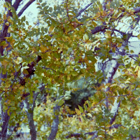 20151220 1246 Lunchbreak Random FreeLensing ©JamesECockroft 2388