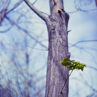 20151220 1248 Lunchbreak Random FreeLensing ©JamesECockroft 2392