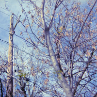 20151220 1248 Lunchbreak Random FreeLensing ©JamesECockroft 2393