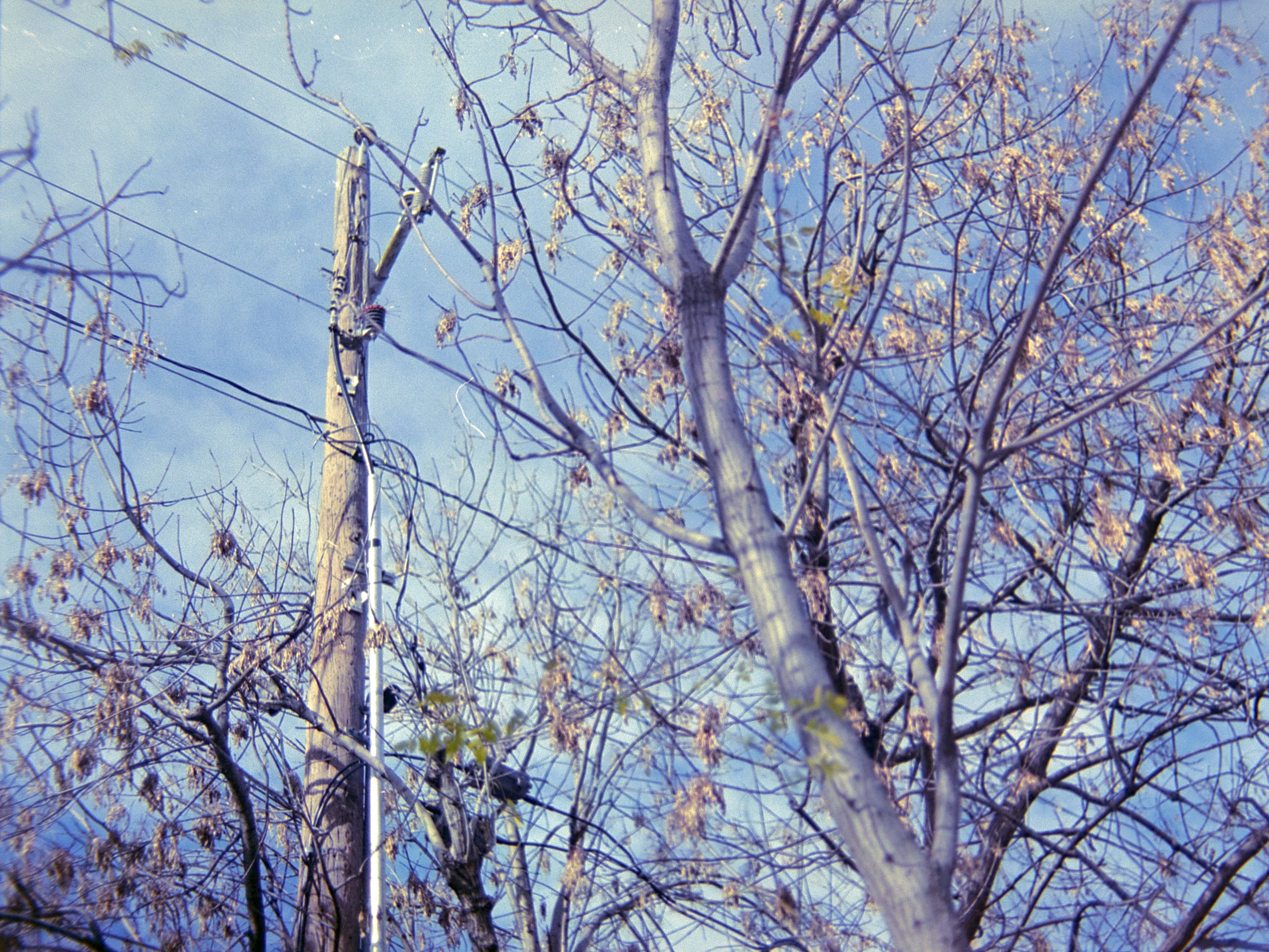 20151220 1248 Lunchbreak Random FreeLensing ©JamesECockroft 2393 featured