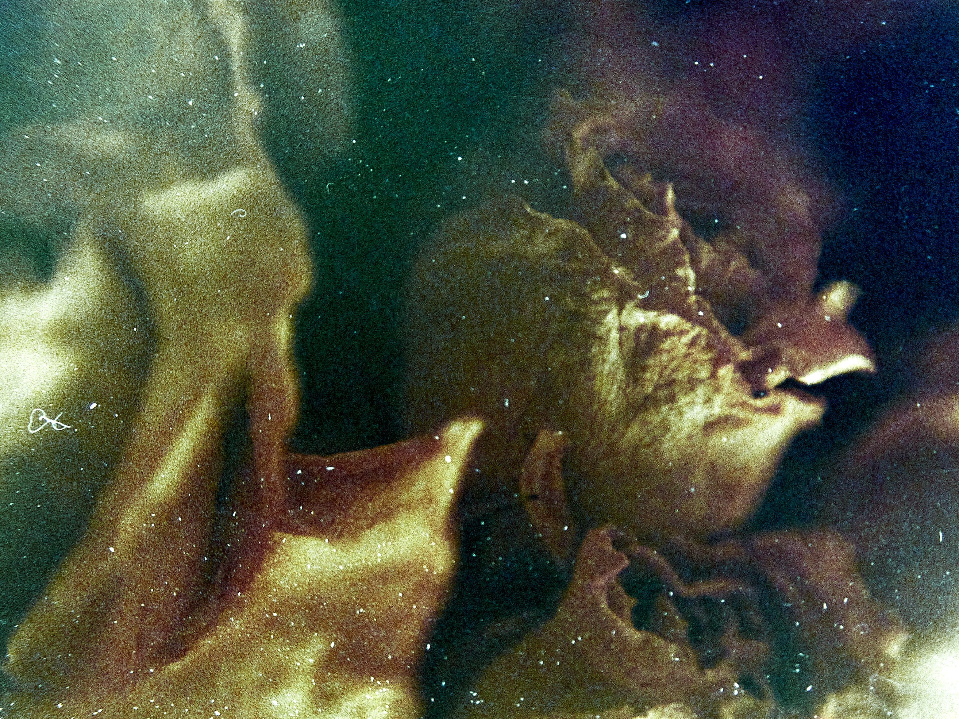 20151220 1254 Lunchbreak Random FreeLensing ©JamesECockroft 2407 featured