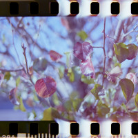 20151220 1256 Lunchbreak Random FreeLensing ©JamesECockroft 2412 featured