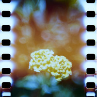 20151220 1256 Lunchbreak Random FreeLensing ©JamesECockroft 2414 featured