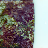 20151220 1258 Lunchbreak Random FreeLensing ©JamesECockroft 2417 featured