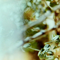 20151220 1258 Lunchbreak Random FreeLensing ©JamesECockroft 2418 featured