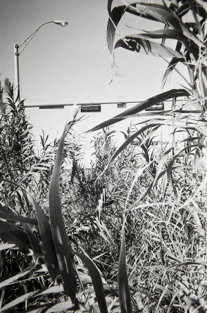 20151224 1509 K100at320 ©JamesECockroft 2468