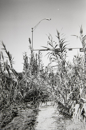 20151224 1509 K100at320 ©JamesECockroft 2469