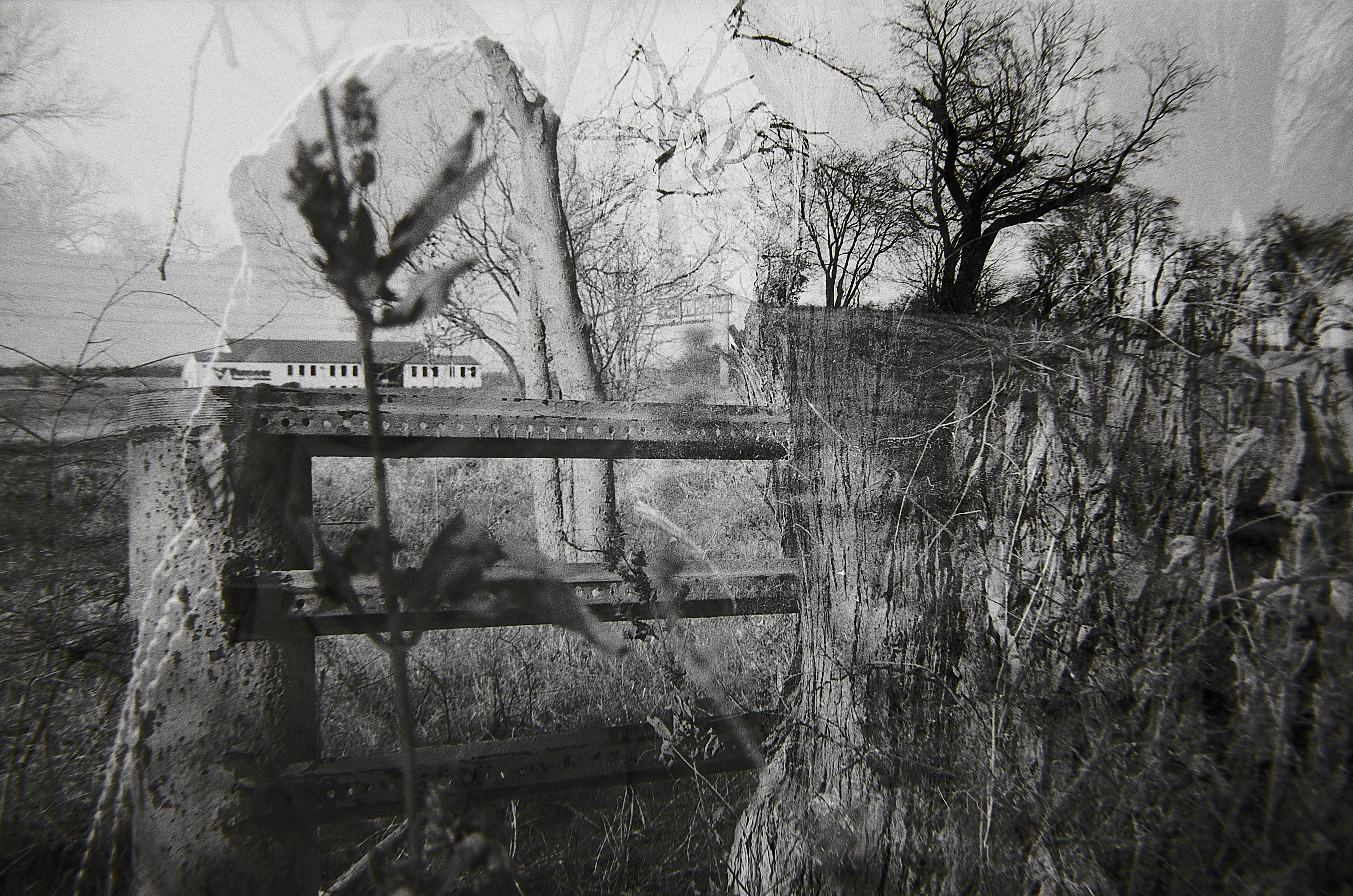 Double Exposure fail 2-a bit more interesting this time