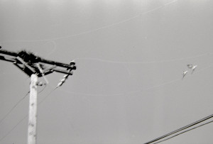 20151224 1513 K100at320 ©JamesECockroft 2480