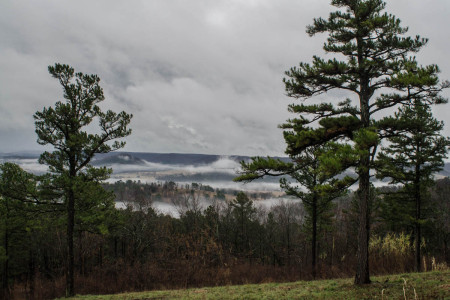 20151226 1437 to there from Eureka 2015 ©JamesECockroft 2676