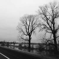 20151229 1048 to there from Eureka 2015 ©JamesECockroft 89