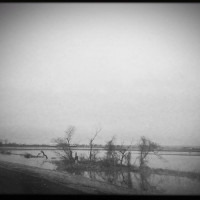 20151229 1049 to there from Eureka 2015 ©JamesECockroft 121