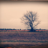 20151229 1112 to there from Eureka 2015 ©JamesECockroft 44