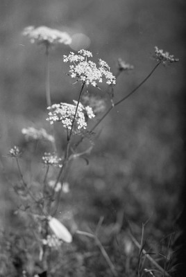 20160108 1211 Fire Walk Indoor ©JamesECockroft 2968