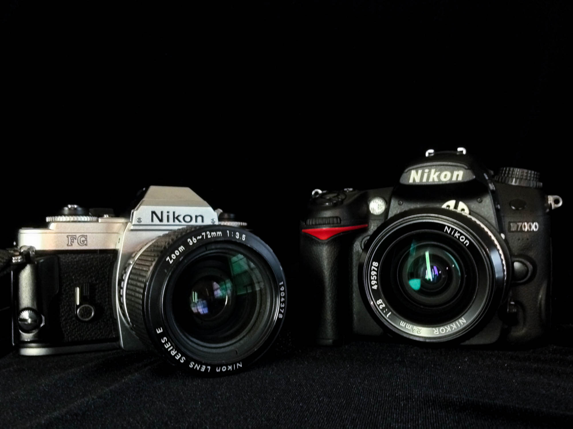 20160116 1158 FG and D7000 ©JamesECockroft 2757