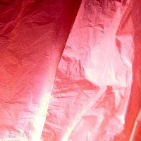 20160123 1606 red plastic bag ©JamesECockroft 3053