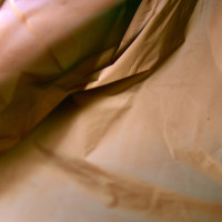 20160123 1607 red plastic bag ©JamesECockroft 3054