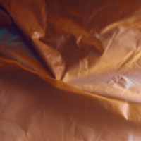 20160123 1609 red plastic bag ©JamesECockroft 3064