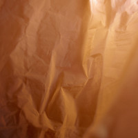 20160123 1610 red plastic bag ©JamesECockroft 3067