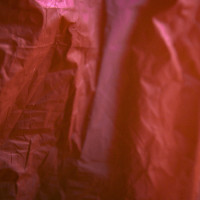 20160123 1612 red plastic bag ©JamesECockroft 3075