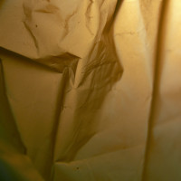 20160123 1612 red plastic bag ©JamesECockroft 3076