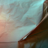 20160123 1612 red plastic bag ©JamesECockroft 3077