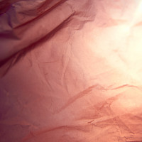 20160123 1614 red plastic bag ©JamesECockroft 3086