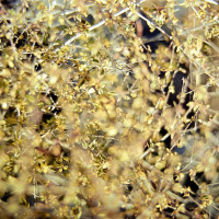 20160216 1654 Random ©JamesECockroft 3332