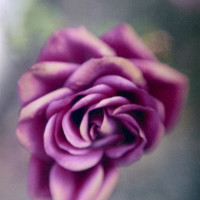 20160216 1700 Random ©JamesECockroft 3339