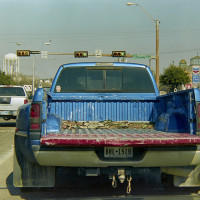 20160216 1720 Random ©JamesECockroft 3363