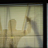 20160218 1305 at work ©JamesECockroft 3375