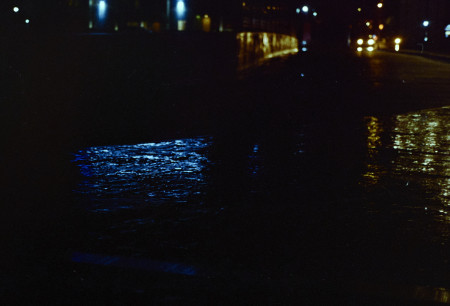 20160312 1601 Random ©JamesECockroft 3577