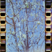 20160312 1618 Random ©JamesECockroft 3598