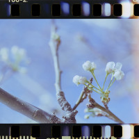 20160312 1620 Random ©JamesECockroft 3599