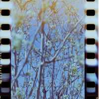 20160312 1620 Random ©JamesECockroft 3600