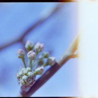 20160312 1620 Random ©JamesECockroft 3601