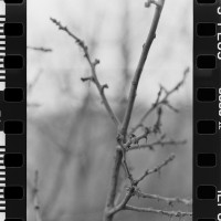 20160313 1802 testing the FE ©JamesECockroft 3615