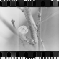 20160313 1803 testing the FE ©JamesECockroft 3621