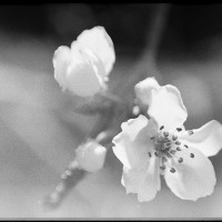 20160313 1805 testing the FE ©JamesECockroft 3627