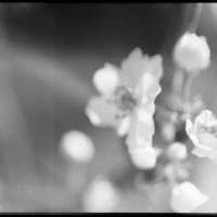 20160313 1805 testing the FE ©JamesECockroft 3628