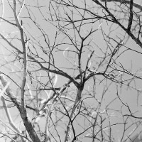 20160313 1806 testing the FE ©JamesECockroft 3630