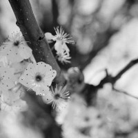 20160313 1809 testing the FE ©JamesECockroft 3643