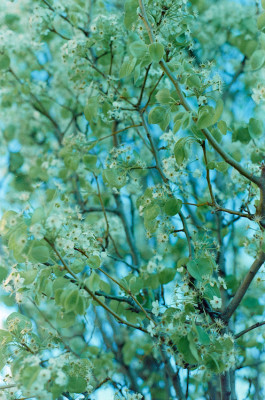 20160319 1215 Random Walks Downtown Dallas ©JamesECockroft 3822