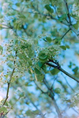 20160319 1216 Random Walks Downtown Dallas ©JamesECockroft 3823