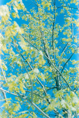 20160319 1218 Random Walks Downtown Dallas ©JamesECockroft 3827