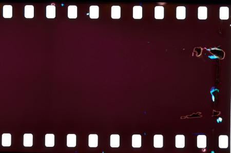 20160319 1222 Dallas Arboretum Neighborhood Walk ©JamesECockroft 3840 1