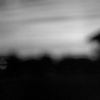 20160320 0956 Polypan F around the house Neighborhood walk around the house ©JamesECockroft 3876